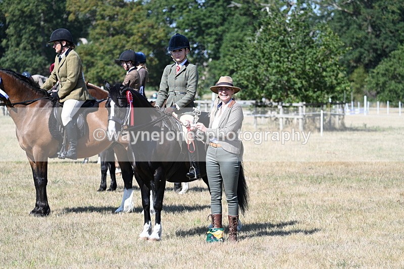 WJ7_4235 - Class 9 Mountain & Moorland Ridden