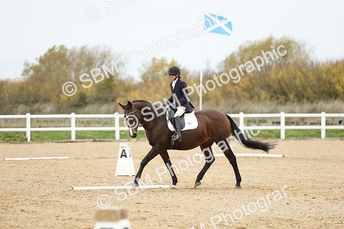 SBM_003003 - Class 8 - Novice 1