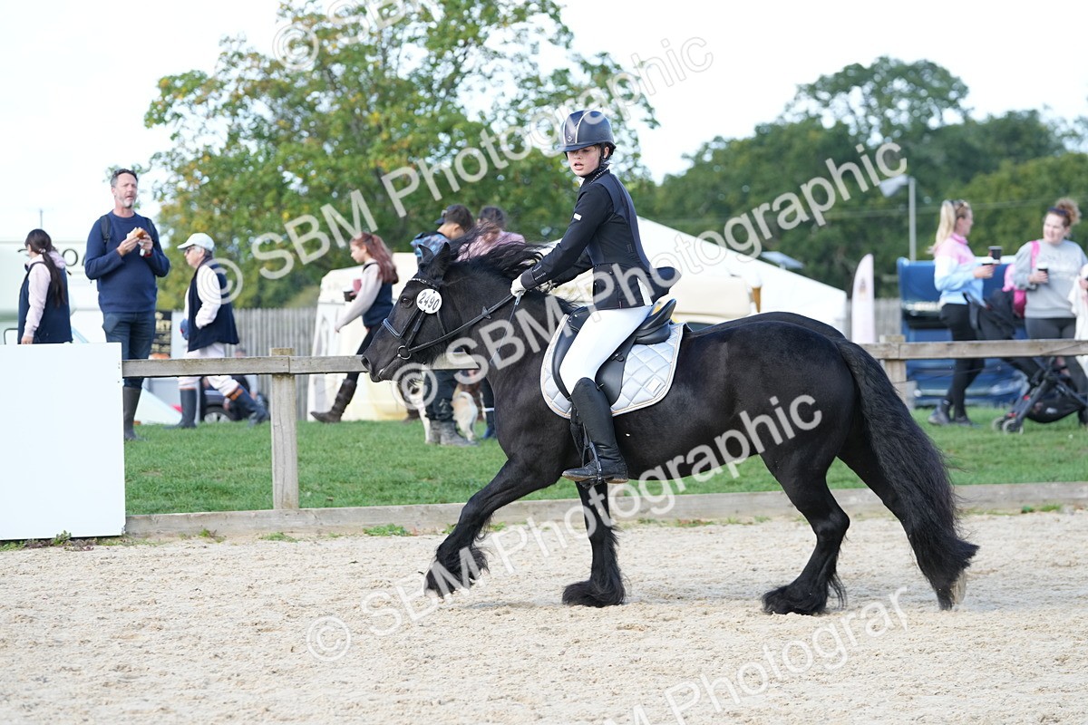 SBM_17919 - J58 - Clear Round 50cm