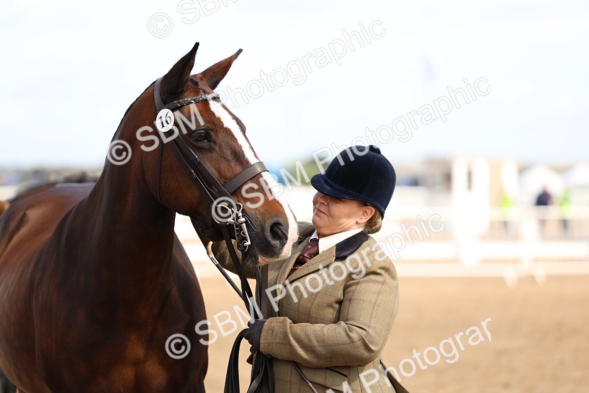 SBM_02395 - Class 19 - Horse or Pony Judge would most like to take home