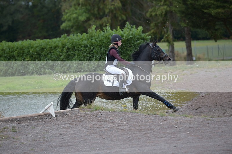 NGP_2002 - XC Time 11:20 to 11:36