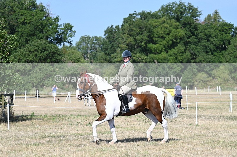 WJ7_3243 - Class 8 Ridden Tack & Turnout