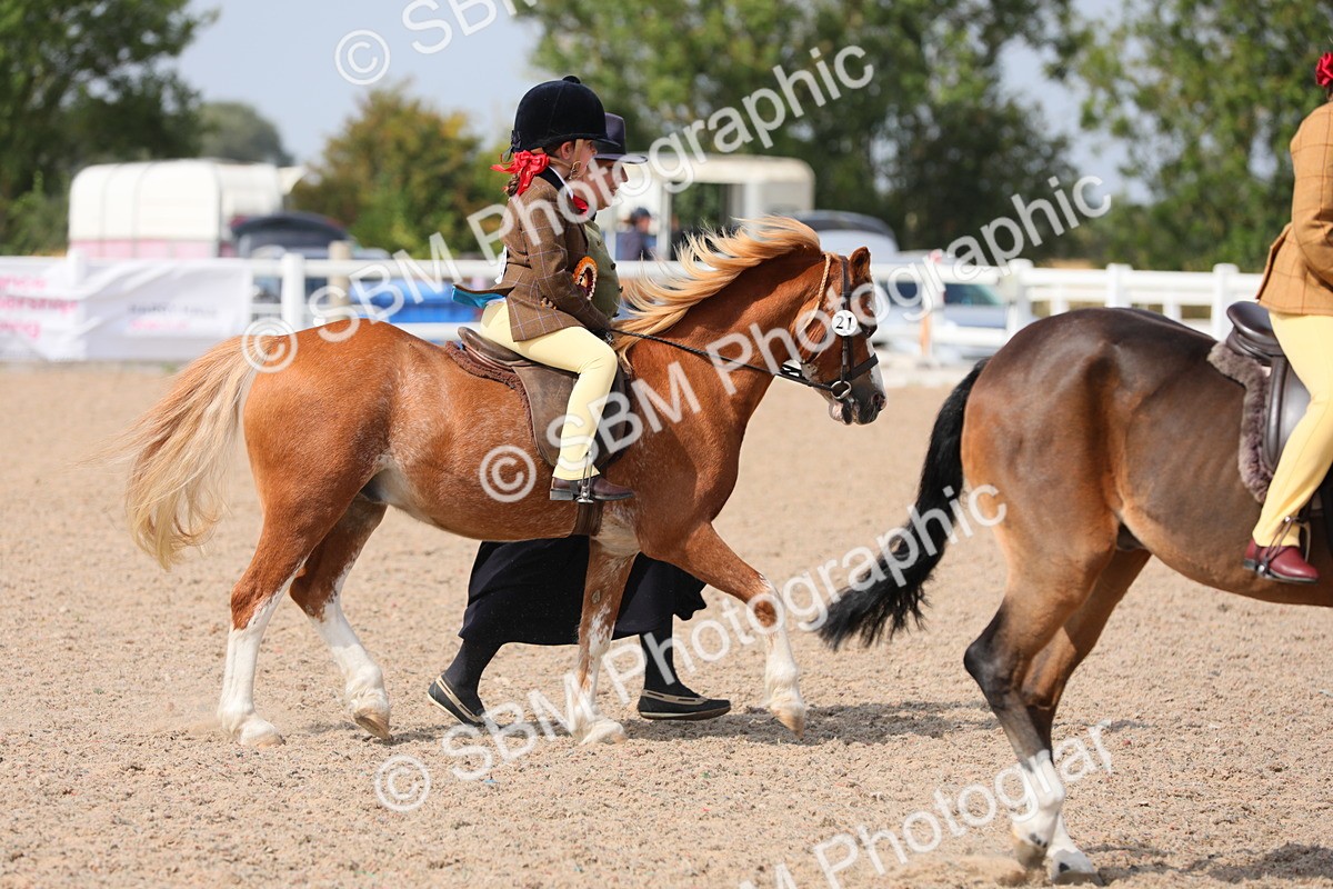 SBM_14134 - Class 309 Lead Rein Pony