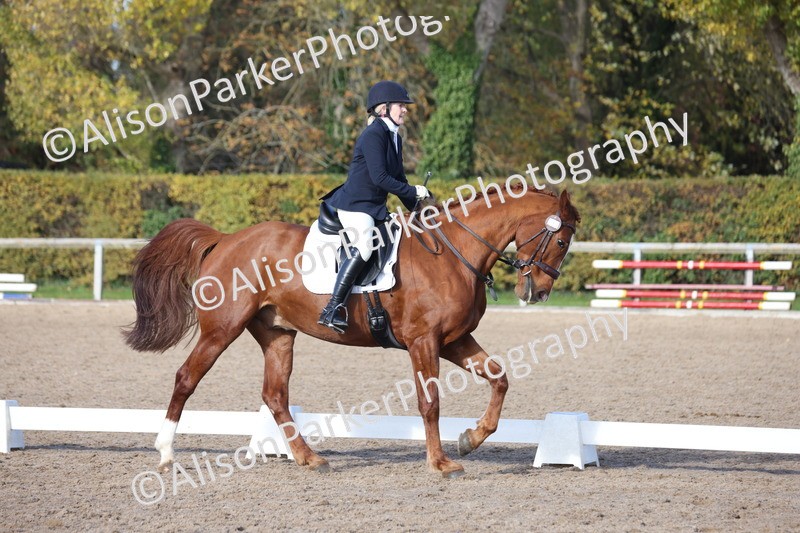 20251102-0717 - Class 4 - Novice 6