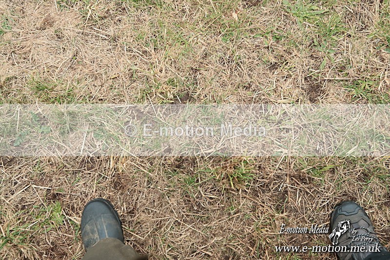 PtPres 160225139 - Presentations Combined Services PtP 16/02/25