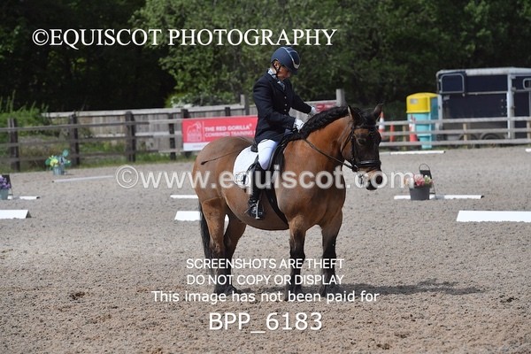BPP_6183 - 26 F WALKER