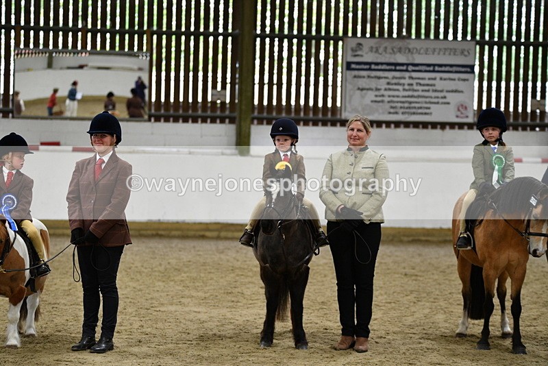 WJ5_7134 - Class 10 Childs Pony