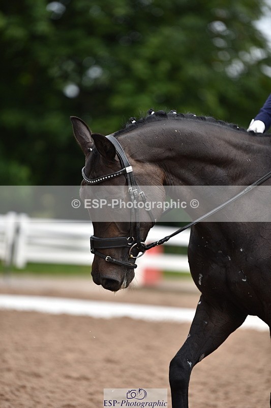 240623A-104606-16861 - Cls 47 BD Novice 22