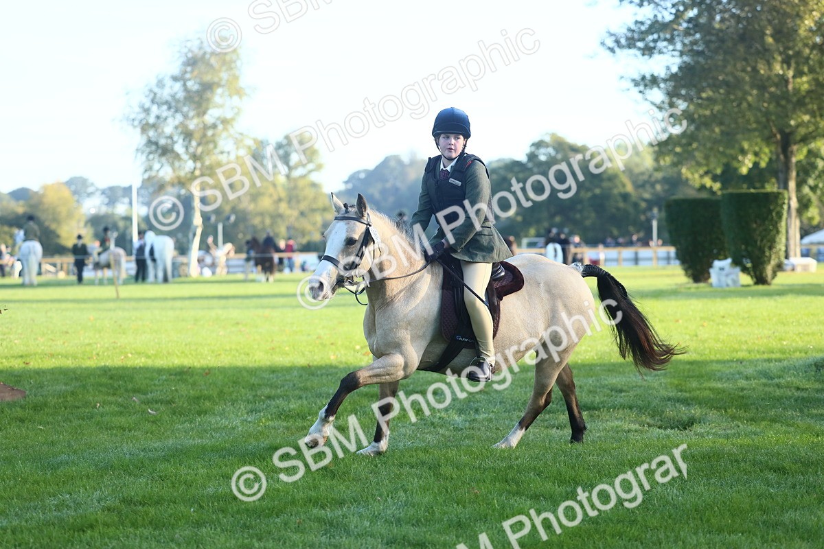 SBM_31856 - S28 - Nursery Stakes Working Hunter Pony