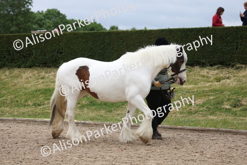 20250524-0602 - Class 7 - Veteran