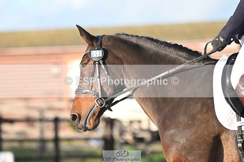 231105-151039-03012 - Cls 4 Novice 24 15.24 to 16.35 break