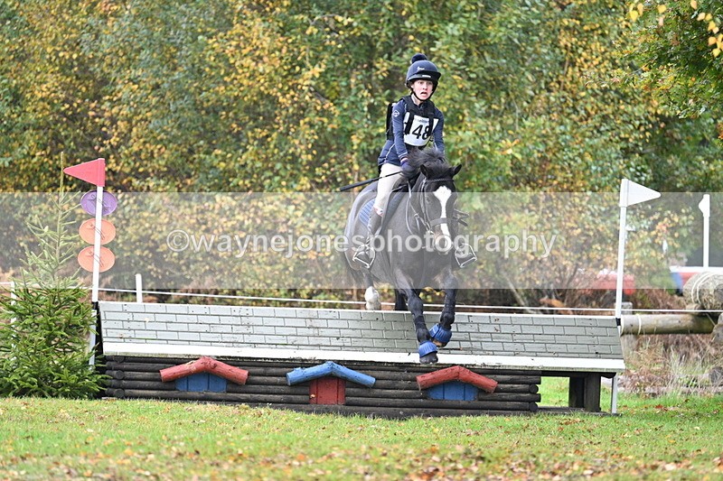 WJ7_1185 - 80cm Cam 2 Water Time 11:29 to 11:46