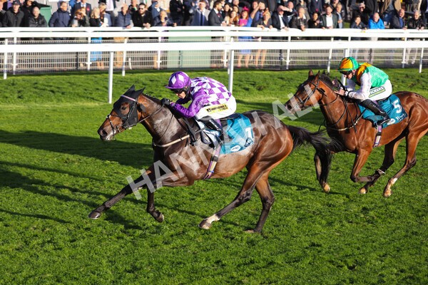 yr07102022r6-24 - Race 6 5.00pm William Hill Lengthen Your Odds EBF Novice Stakes