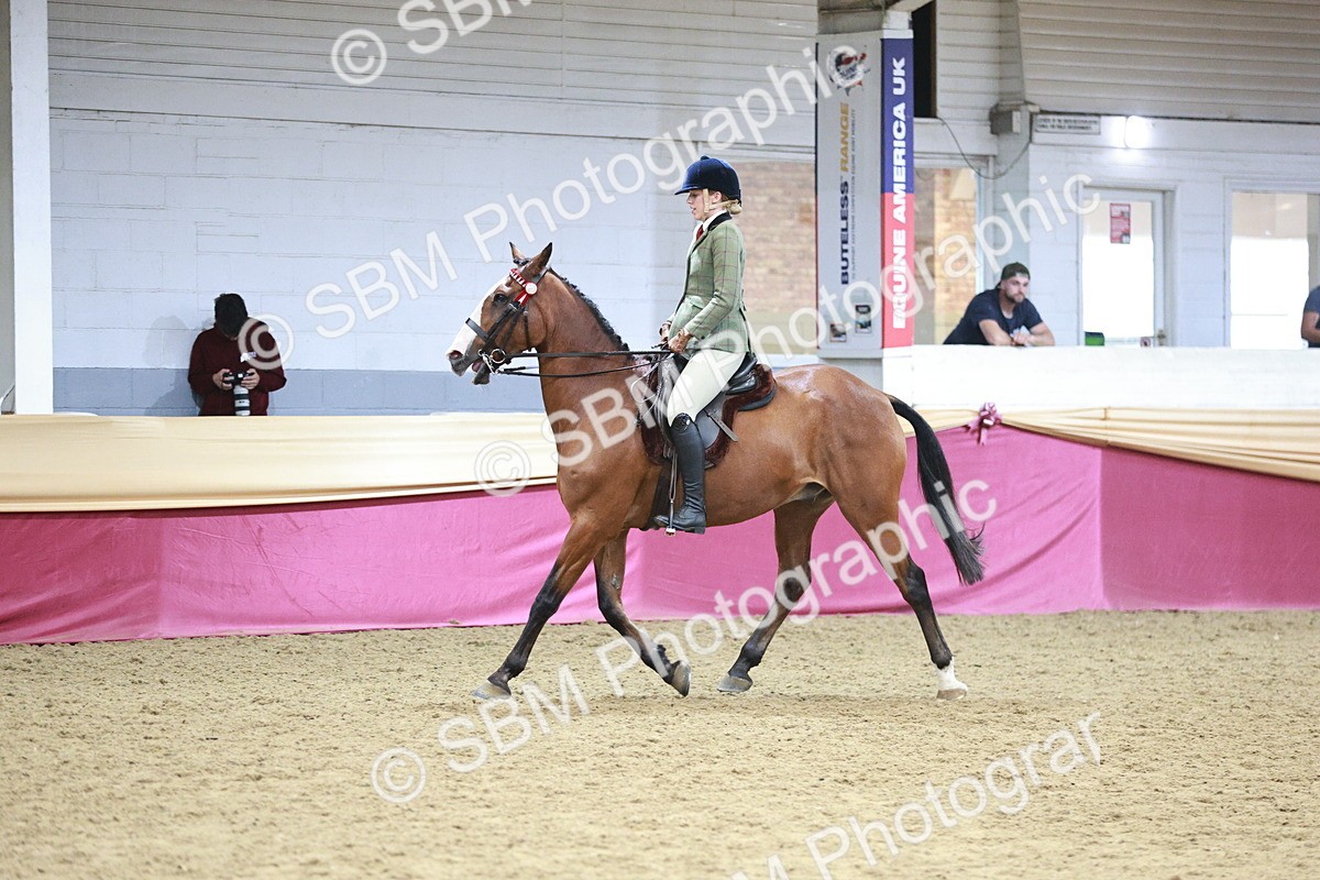 SBM_09052 - Class 12R - Regional Ridden Pre-Vet