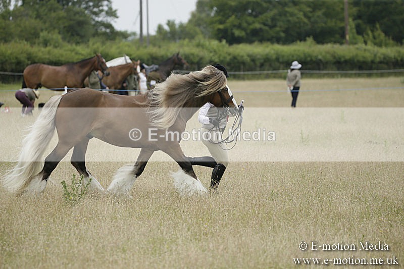 B230619-0760 - Bourne Valley Riding Club Summer Show 23/06/19