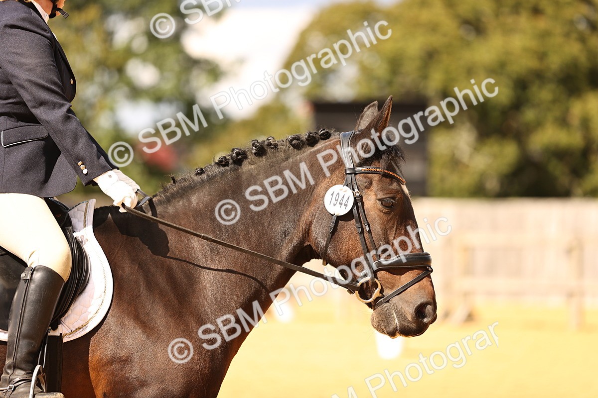 SBM_07000 - D30 Small Tour PYO Open