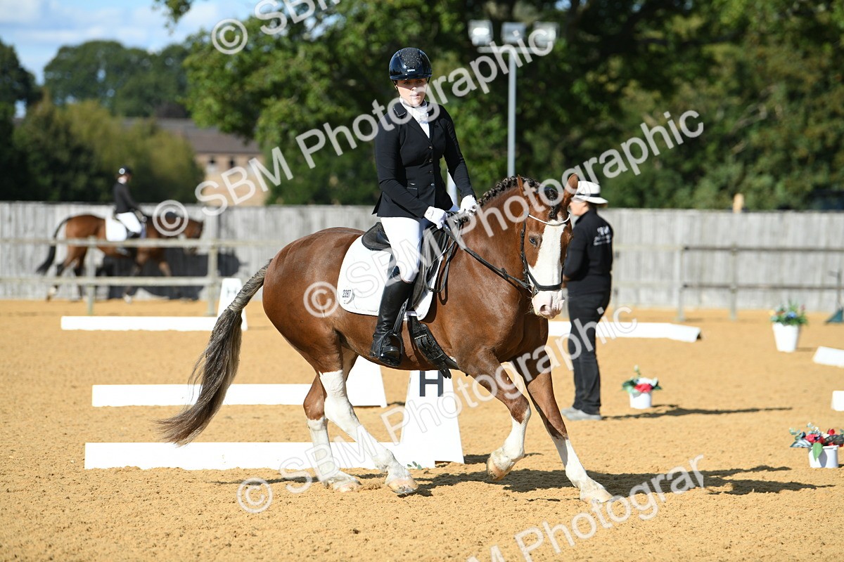 SBM_27105 - D16 - Small Tour Championship - Novice 28