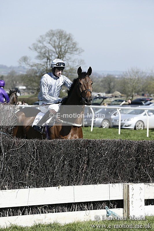 PtP 260317 37 - Mendip Farmers Point-to-Point Ston Easton 26/03/17