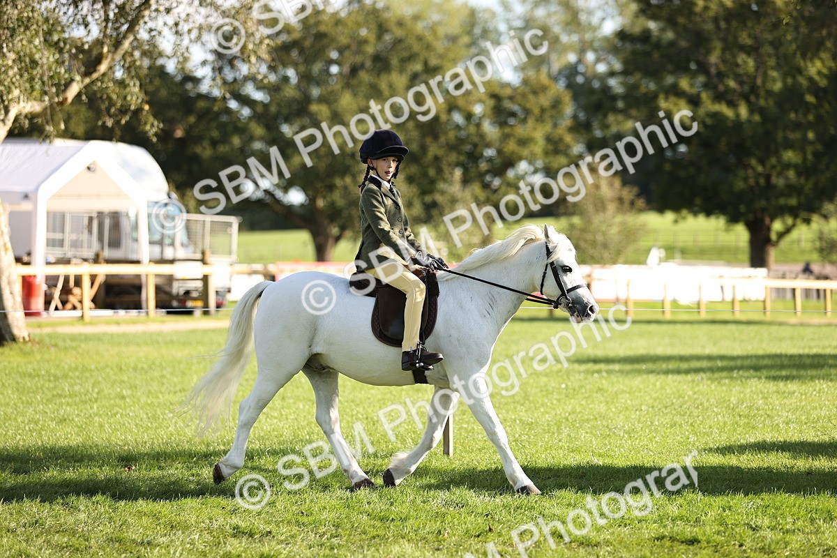 SBM_29341 - S7 - Novice & Newcomers Ridden Pony