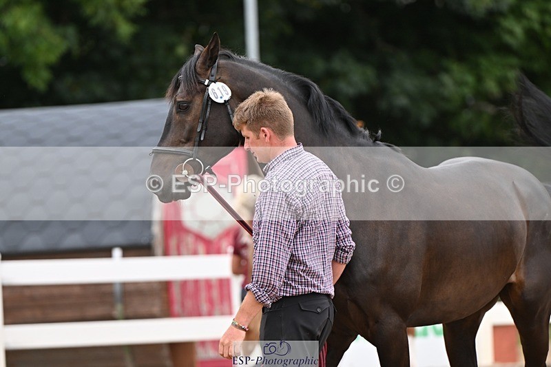 250716-160353-02382 - Trot Up 3.30 to 4.30