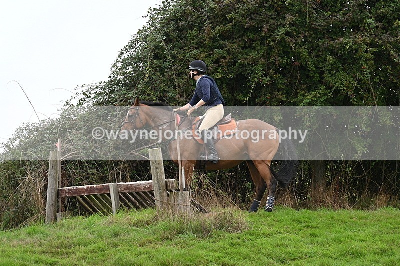 WJ7_8874 - Time 13:13 to 13:29