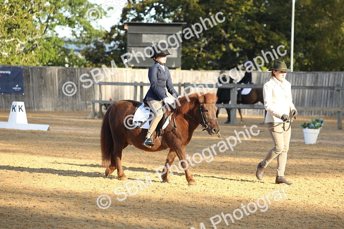 SBM_33630 - D26 - Starers - Lead Rein