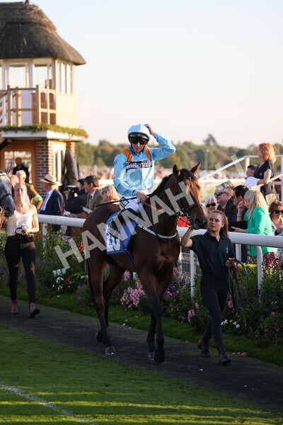 yr08102021r7-7 - Race 7 5.25pm The IRE Incentive, It Pays To Buy Irish Handicap