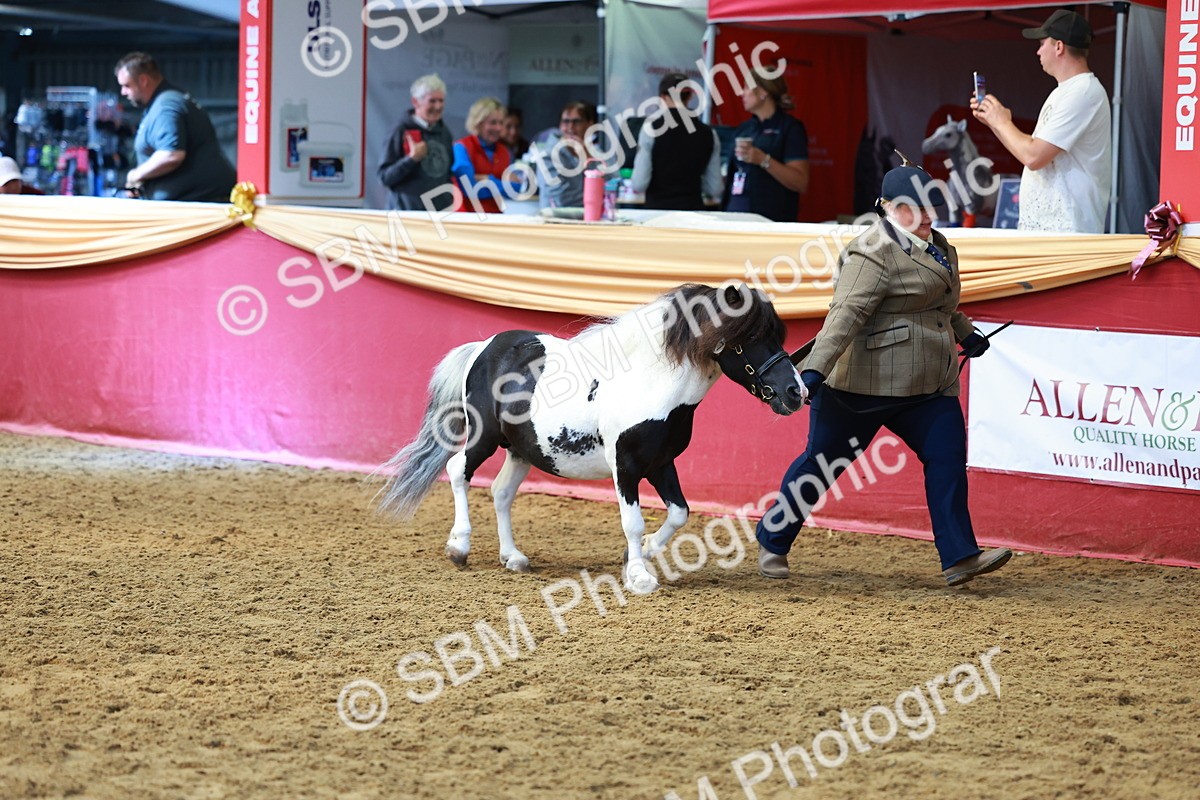 SBM_18605 - Class 903 - Sup Final - IH Pre Vet