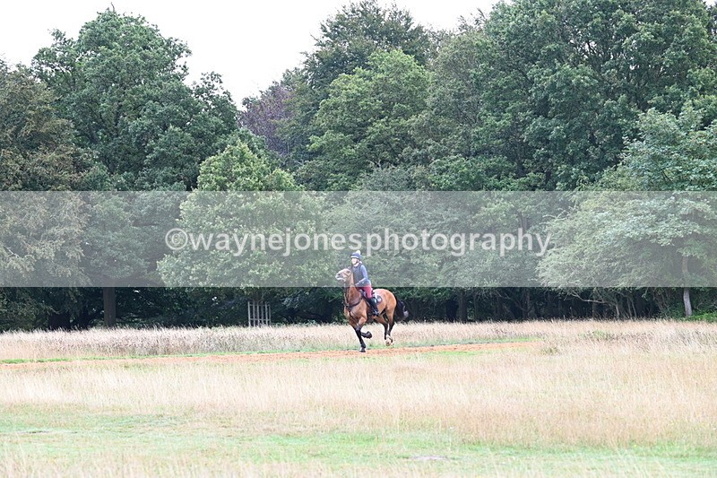 DSC_2391 - Time at Statue 12:34 to 12:56