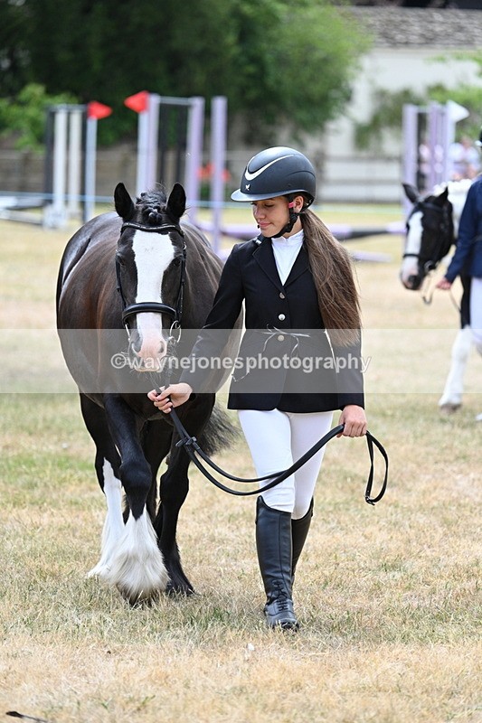 WJ7_1400 - Class 4 Prettiest Mare up to 14.2hh in hand