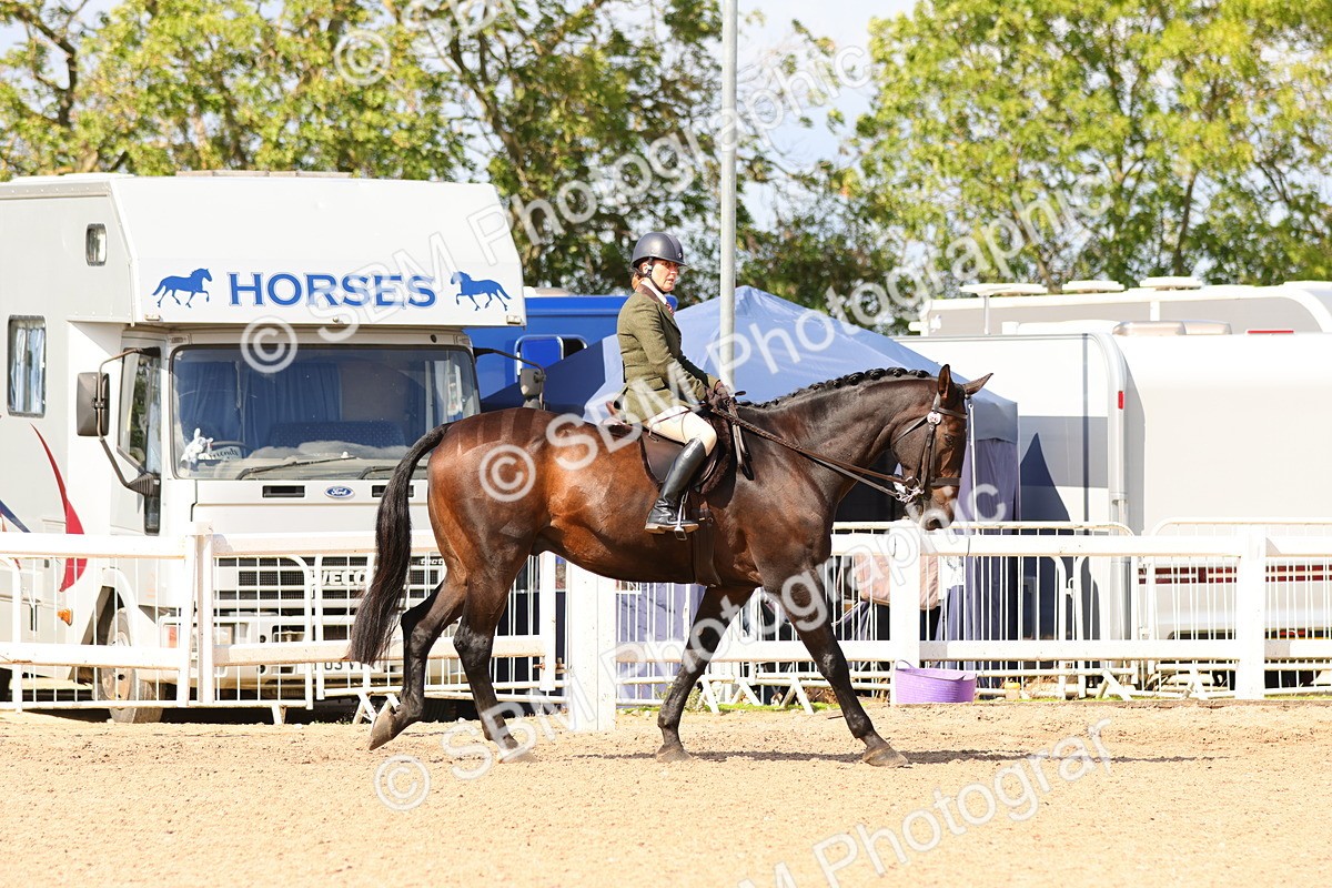 SBM_13431 - Class 212 - Ridden Hunter  - Large
