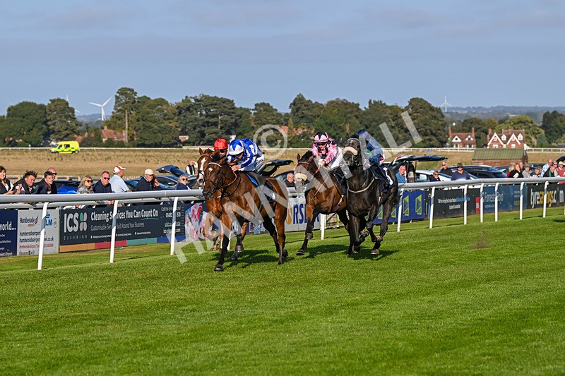 180924-Race 7-Fox Avatar-5222 - Race 7