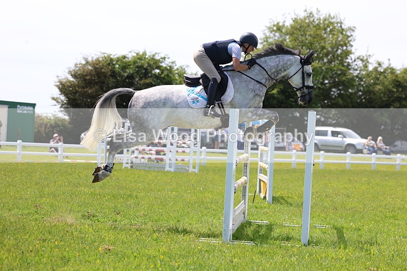 3E7A1334 - Class 12: Senior Foxhunter/1.20 open