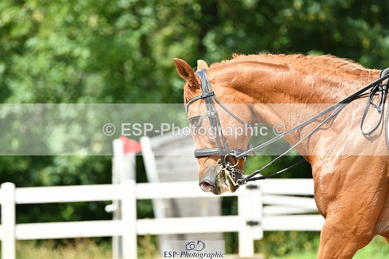 230701A-145427-06981 - Cls 17, 20, 11 + 21 Music PSG, Inter II, Advanced 101 + FEI GP