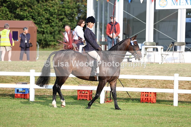 3E7A7636 - Class 1: Rising Star Small Hack/Riding Horses