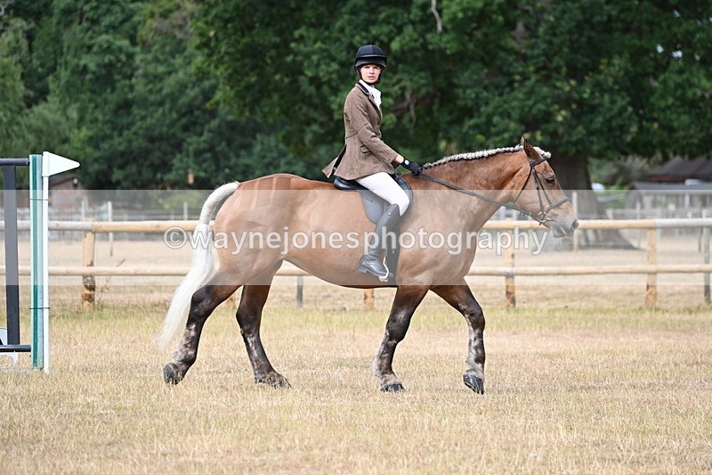 WJ6_7507 - Class 9 Tack and Turnout