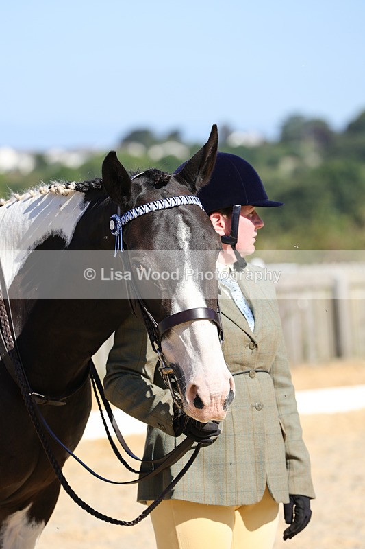 1X9A7919 - Class 10:Riding Horse