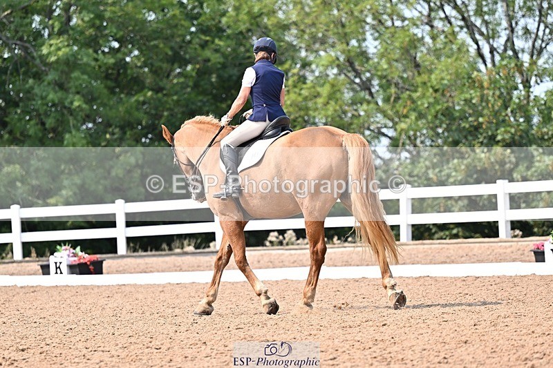 250816-142427-05349 - 147-Gill.AmosCoille.Mor.Pearl