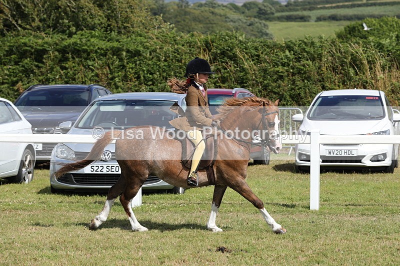 1X9A5675 - Class 40: NPS Welsh A & B