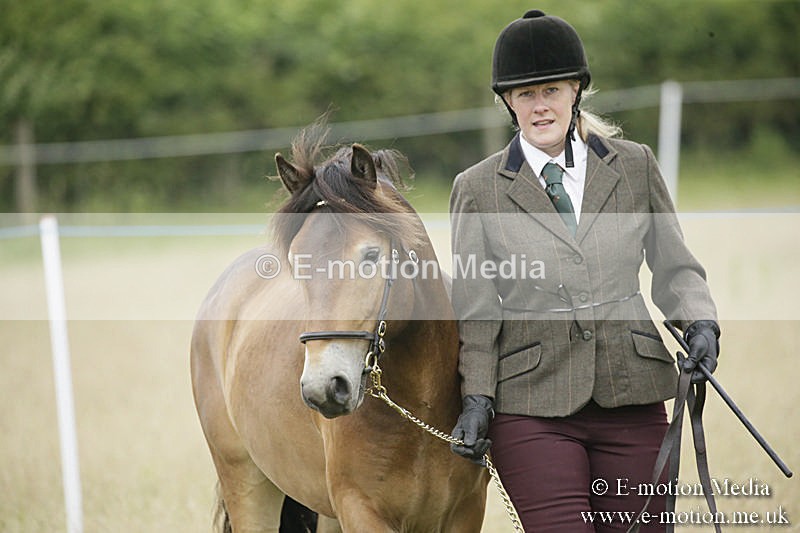 B230619-0049 - Bourne Valley Riding Club Summer Show 23/06/19