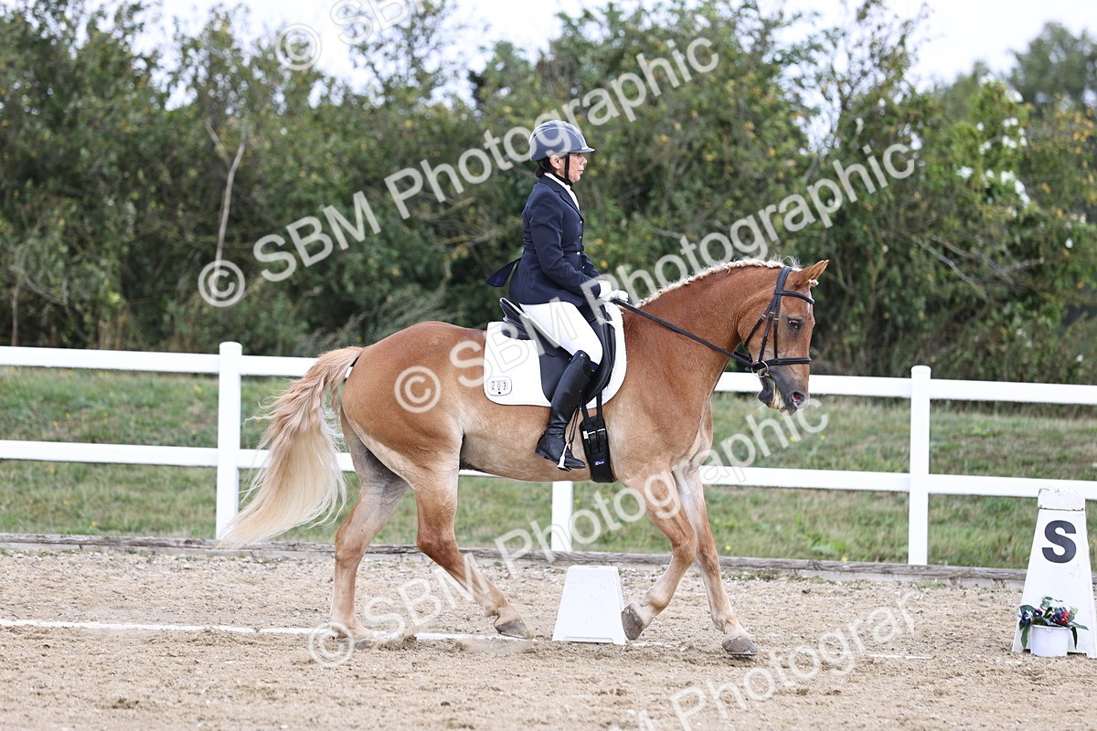 SBM_016774 - Class 14 Novice 23 - 11.53-12.56