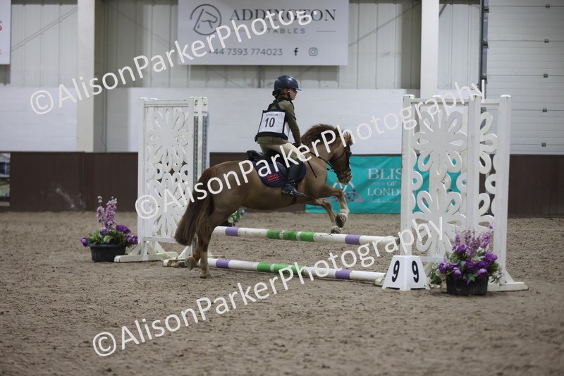 20260125-1159 - Class 2 - 50cm