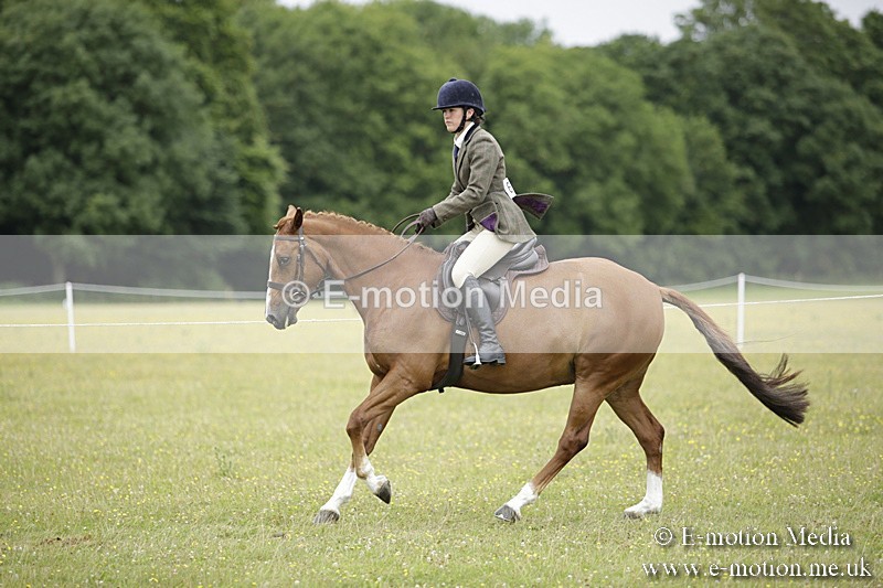 BVR160717-806 - Ring 1 BVRC Show 16/07/17