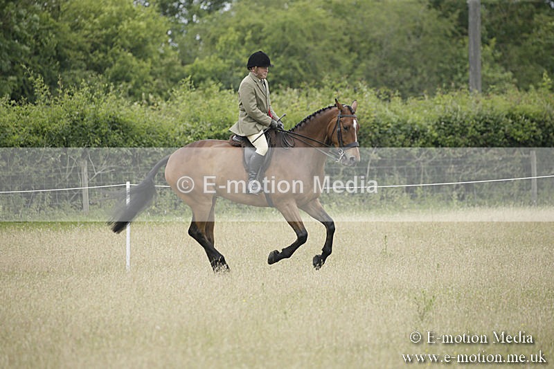 B230619-0803 - Bourne Valley Riding Club Summer Show 23/06/19