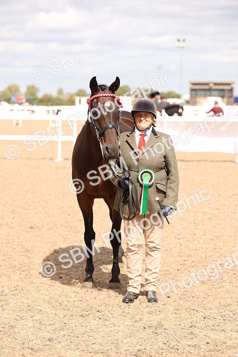 SBM_15406 - Class 210- IH Show Horse
