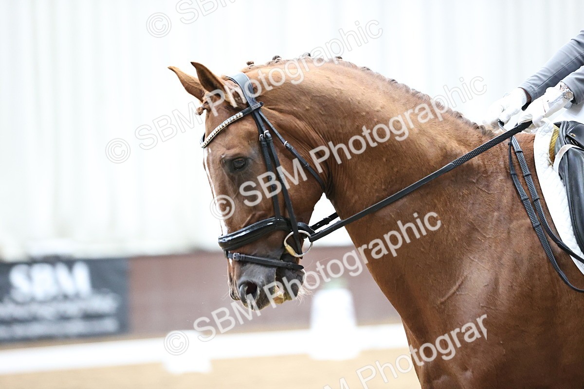 SBM_020126 - Class 24 - Medium FSM