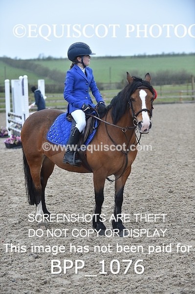 BPP_1076 - CLASS 1 Club/ Unaffiliated 60cms Open