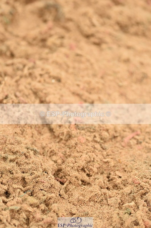 230610A-154250-04096 - Cls 25 Team Competition