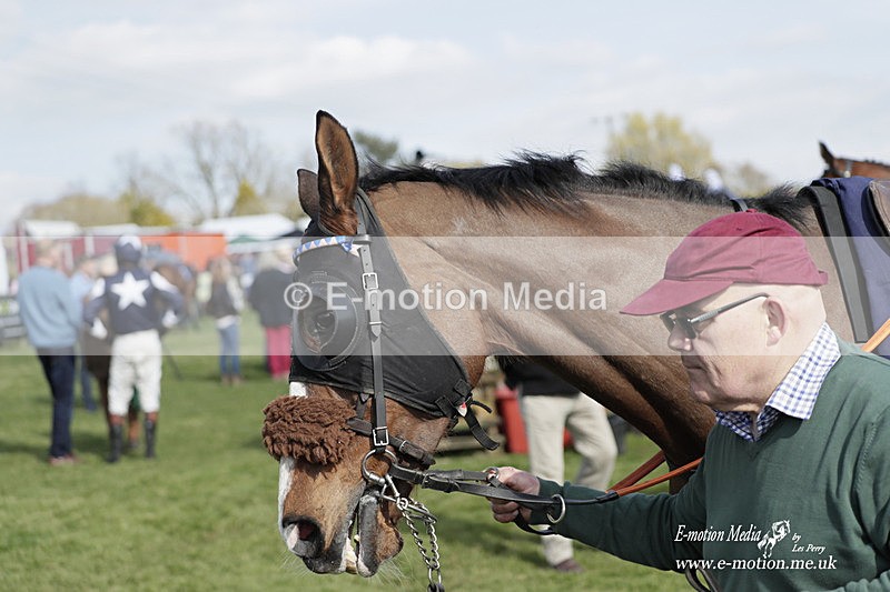 PtP 080423 483 - Dingley Races The Woodland Pytchley Hunt PtP 08/04/23