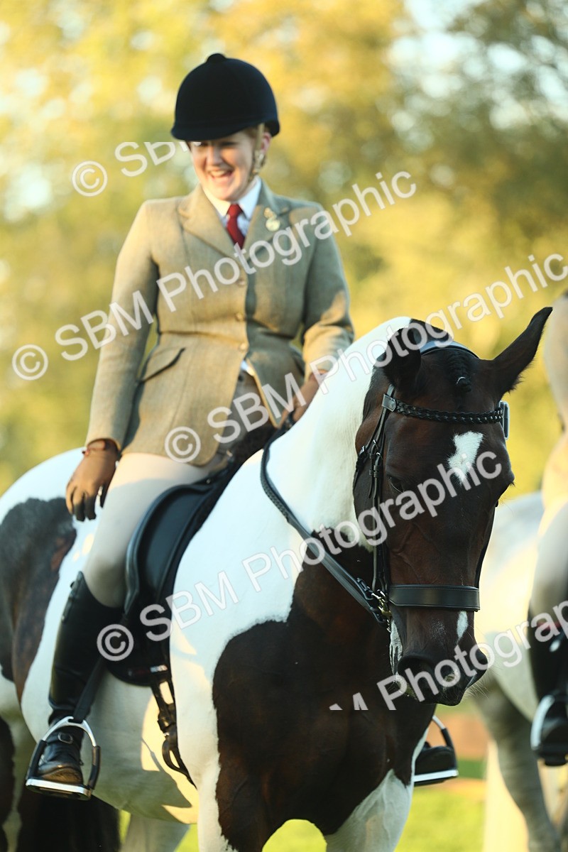 SBM_56516 - S14 - Riding Club Horse